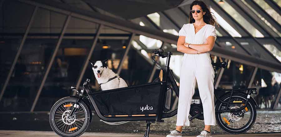 Yuba Cargo Bike for Pets